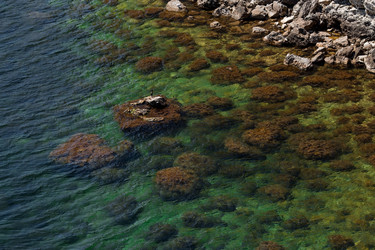 Similar image 21328758