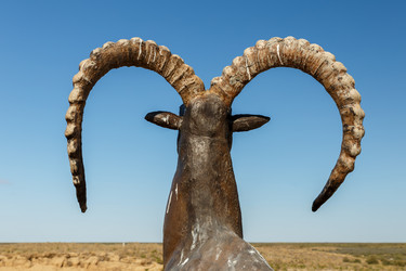 Similar image 21316961