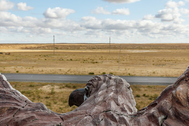 Similar image 21316966