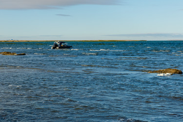 Similar image 21316969