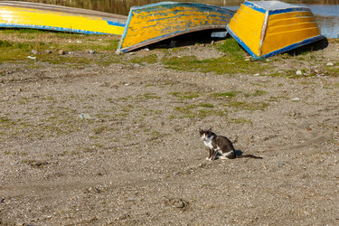 Similar image 21316972