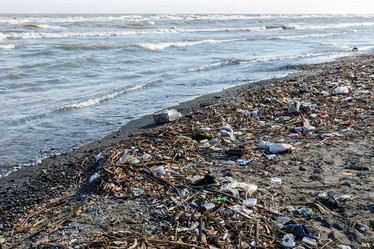 Similar image 21316975