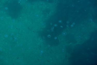 Similar image 21328353