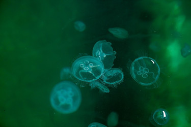 Similar image 21328355