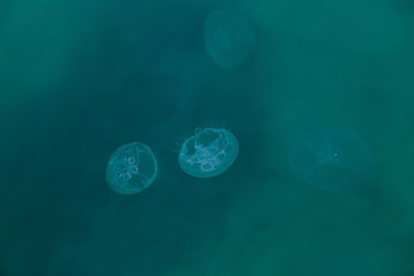 Similar image 21328493