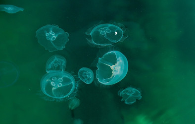 Similar image 21328495