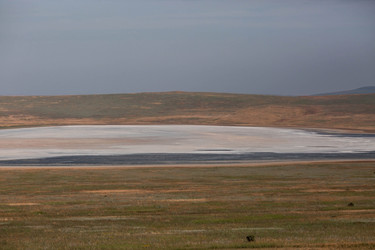 Similar image 21328511