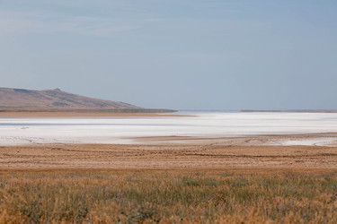 Similar image 21328153