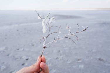 Similar image 21328156