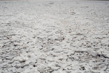 Similar image 21328306