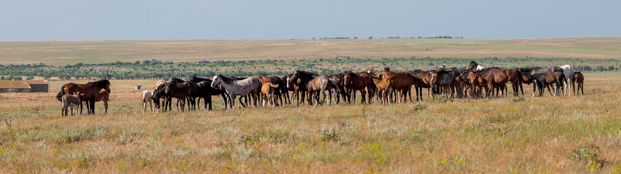 Similar image 21328307