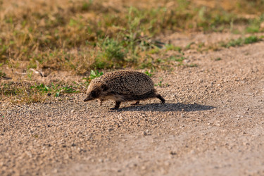 Similar image 21328309