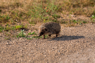 Similar image 21328310