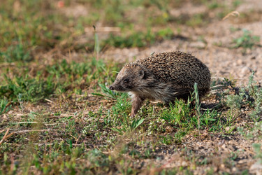 Similar image 21328311