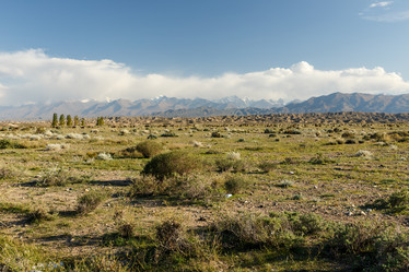 Similar image 21316742