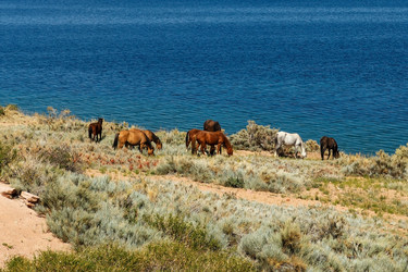 Similar image 21316998