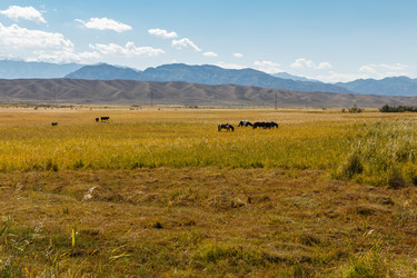 Similar image 21317013