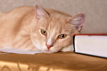 Similar image 21310914