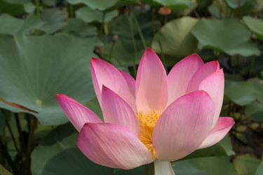 Similar image 21328652