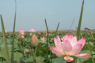 Similar image 21328654