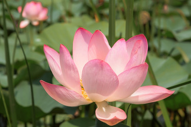 Similar image 21328761