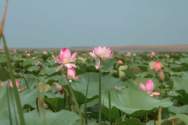 Similar image 21328762