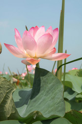 Similar image 21328763