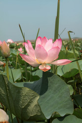 Similar image 21328764