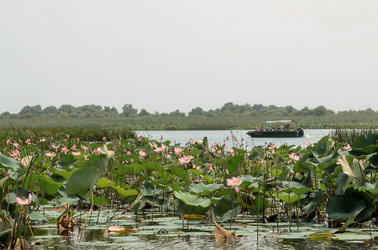 Similar image 21328765