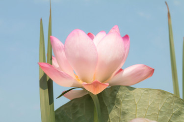 Similar image 21328768