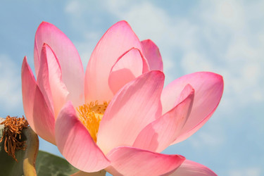 Similar image 21328770