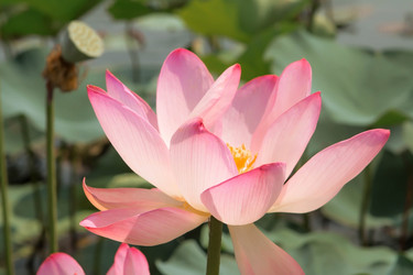 Similar image 21328772