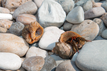 Similar image 21328789