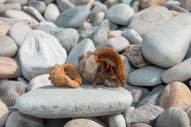 Similar image 21328790