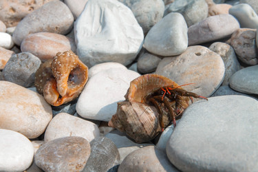 Similar image 21328791