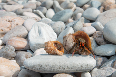 Similar image 21328792