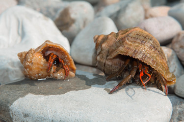 Similar image 21328811