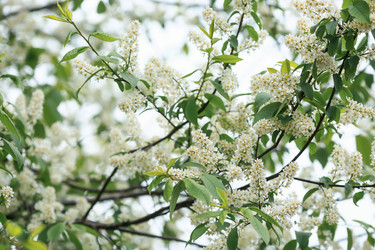 Similar image 21311114