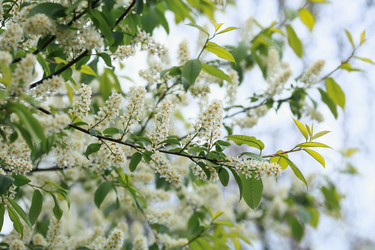 Similar image 21326685