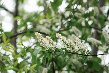 Similar image 21326687