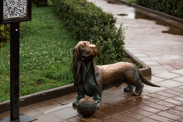 Similar image 21326688