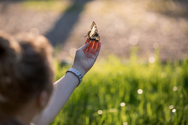 Similar image 21326689