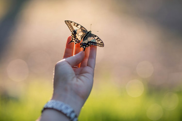 Similar image 21326695