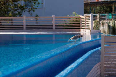 Similar image 21329237