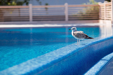 Similar image 21329239