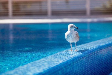 Similar image 21329241