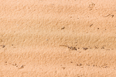 Similar image 21329244