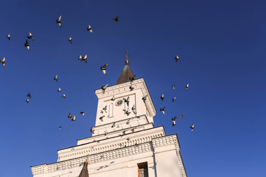 Similar image 21329257