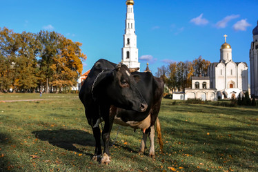 Similar image 21328901