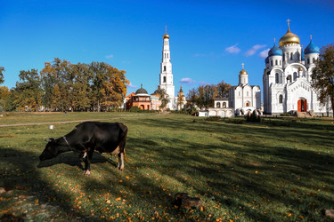 Similar image 21328904